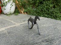 cheval